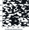 Figure 1 - Example of a randomly arranged microstructure with a size of 1,000 x 1,000 pixels