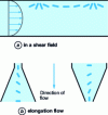 Figure 1 - Diagram of fiber movement