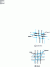 Figure 6 - Elongation and shear of a woven reinforcement in its plane