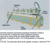 Figure 16 - Elastomer profile processing equipment (doc. Microwave – Energy – Systems)
