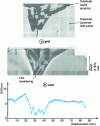 Figure 2 - Comparison of squaring and peeling test results, with peeling force measurement, on a painted weld seam area 10