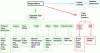 Figure 1 - Simplified classification of natural fibers by origin, with examples