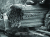 Figure 4 - Failure modes of a composite material in the presence of a flax fiber bundle