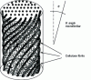 Figure 7 - Schematic diagram of plant fiber structure (after [59])