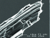 Figure 9 - Tensile fracture facies of a flax fiber showing a fibrillar structure similar to that of a composite material reinforced with unidirectional fibers (after [50]).