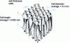 Figure 12 - Balsa cell geometry (from [28] and [29])