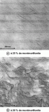 Figure 6 - Transmission electron microscopy micrographs of PA 6 nanocomposites containing 2.5 and 20% montmorillonite