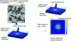 Figure 20 - Simulation of laser propagation
in a semi-transparent medium using the ray-tracing method