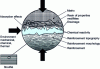 Figure 1 - Reinforcement/matrix interphase in a composite material [3]