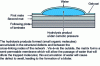 Figure 3 - Osmosis phenomenon in an unsaturated polyester CMO