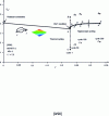 Figure 8 - Evolution of dimensioned longitudinal curvature, ...