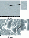 Figure 9 - SEM observations (45° tilted) of the surface of samples aged in air at atmospheric pressure at 150°C: a) 192 h and b) 1,000 h