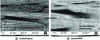 Figure 11 - Scanning electron microscope observations
(magnification x 70) of thermal decomposition within quasi-isotropic
laminated composites subjected to a heat flux of 40 kW/m2(from [25])