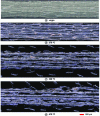 Figure 21 - In situ tensile behavior of carbon/PPS
laminates under different homogeneous temperature conditions – through-the-thickness
microscopic observations