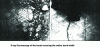 Figure 16 - Bonding defects and poor bond quality revealed by X-ray opaque penetrant