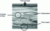 Figure 28 - Different types of damage. Epoxy carbon composite after impact (x 50)