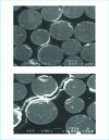 Figure 2 - Scanning electron microscope micrographs showing cracks in the wall of a tube after beading (from [4])