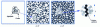 Figure 17 - Schematic view of the dynamic mechanism of cluster aggregation in the elastomer before and after the percolation threshold.