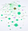 Figure 12 - Wi-Fi and Bluetooth are still essential
IoT communication technologies (extract from IXXO InfoMap)