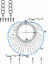 Figure 12 - Mid-thickness metal temperature profile for the first tube of a panel heat exchanger exposed to external radiation