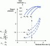 Figure 15 - Turbine characteristic field