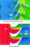 Figure 4 - Transonic flows in compressors and turbines, with isobar plots for each calculated using a quasi-3D approach