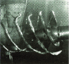 Figure 29 - Blade cavitation at the leading edge and helical vortices of a propeller placed in front of a rudder (photo: Bassin des Carènes)