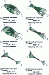 Figure 42 - Compressor: first 6 modes at 13,800 rpm (Sysrotor - license, CNRS-INSA-Lyon-LMSt)