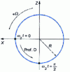 Figure 8 - Rotor orbit: direct precession (Pr. D)