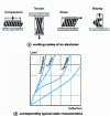 Figure 1 - Classification of deformation modes of elastic supports