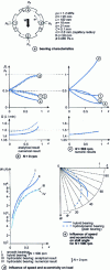 Figure 16 - Influence of rotation speed N and relative eccentricity  = e /C on alveolar pressure and flow rate