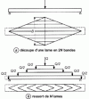 Figure 12 - Triangular spring