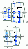 Figure 33 - Mixed compound groups: different combinations 