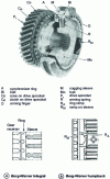 Figure 25 - Borg-Warner synchronizer