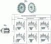 Figure 16 - Use of elastomer in compression: Pencoflex coupling (from doc. SIT Texrope)