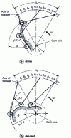 Figure 31 - Plot of cam roller center lift for an oscillating follower