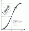 Figure 38 - Comparison of displacement curves for different acceleration laws