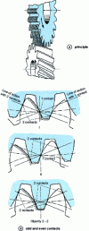 Figure 25 - Shaving tool: schematic diagram and parity concept