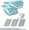 Figure 30 - Shaving tool mortises