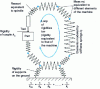 Figure 4 - Two-dimensional elastic machine model