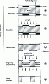 Figure 3 - Implementation of the double-sided chemical cutting process