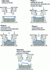 Figure 15 - Elastoforming: process stages [5]