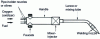 Figure 5 - Components of a flashlight