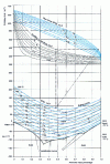 Figure 32 - Merkel diagram of binary water-ammonia mixture