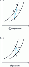 Figure 15 - Isentropic, polytropic and adiabatic compression and expansion