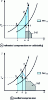 Figure 27 - Representation of exergy variations in an entropy diagram