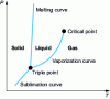 Figure 2 - Body phases