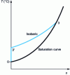 Figure 8 - Isentropic and isobaric evolution in the liquid domain