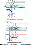 Figure 12 - Energy flow according to exciter arrangement in a thermoacoustic cooler