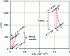 Figure 22 - Fluid evolution (ri = 0.5)